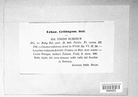 Image Associated With the Occurence